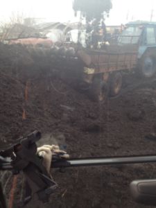 Купить торф Ильинское